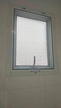 Gallery Item 8